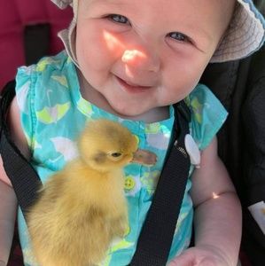 Meet your Posher, Iona